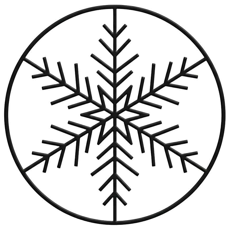 flocon de neige noire