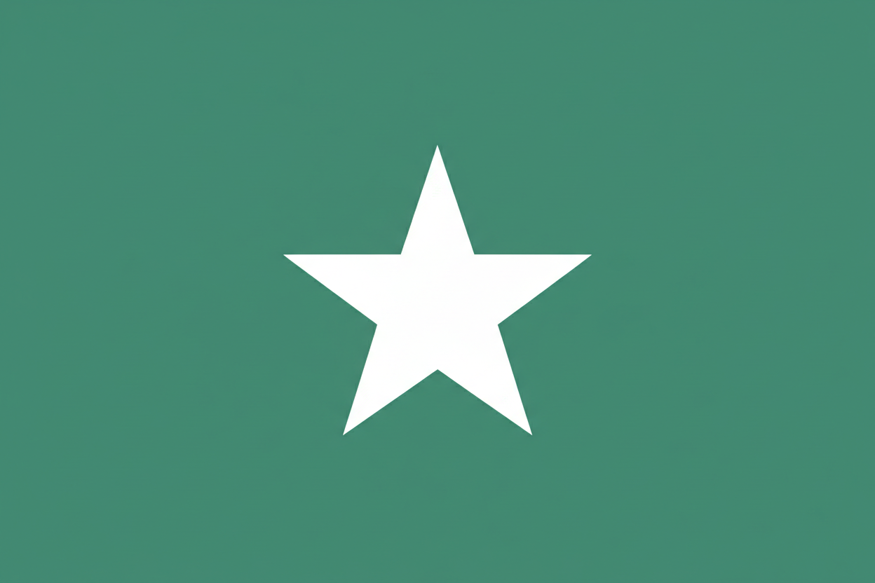 grande etoile nlache fond vert